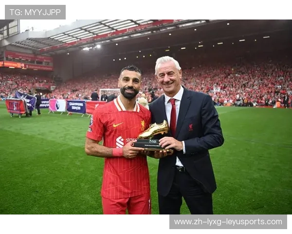 2016年英超降级球队的挑战与应对措施